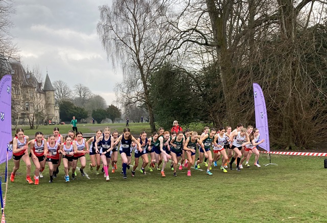 SIABXC25-01
