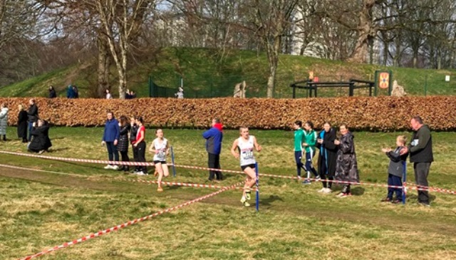 SIABXC25-02