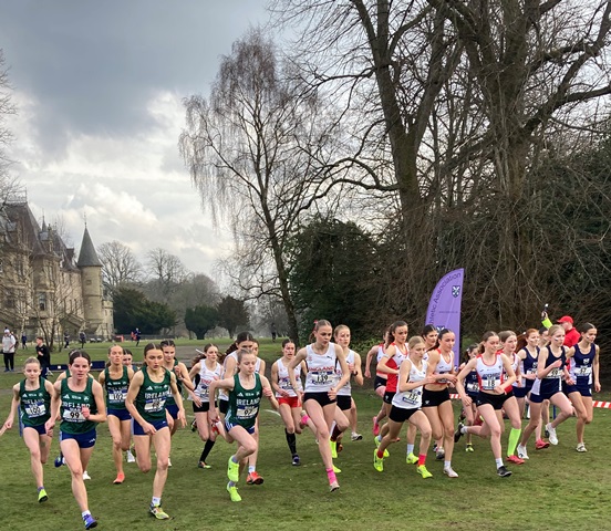 SIABXC25-154