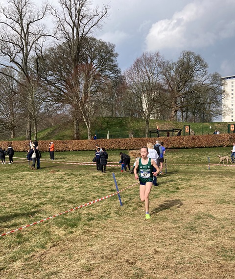 SIABXC25-155