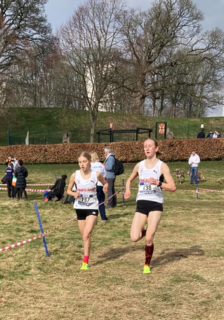 SIABXC25-156