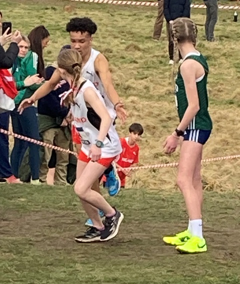SIABXC25-62