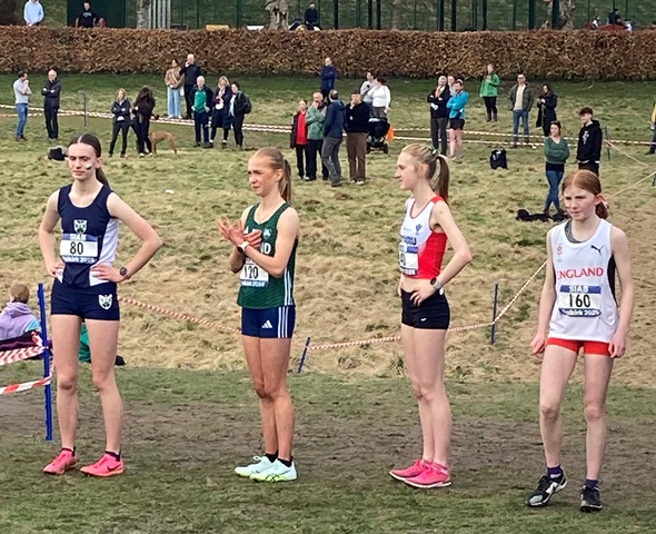 SIABXC25-78